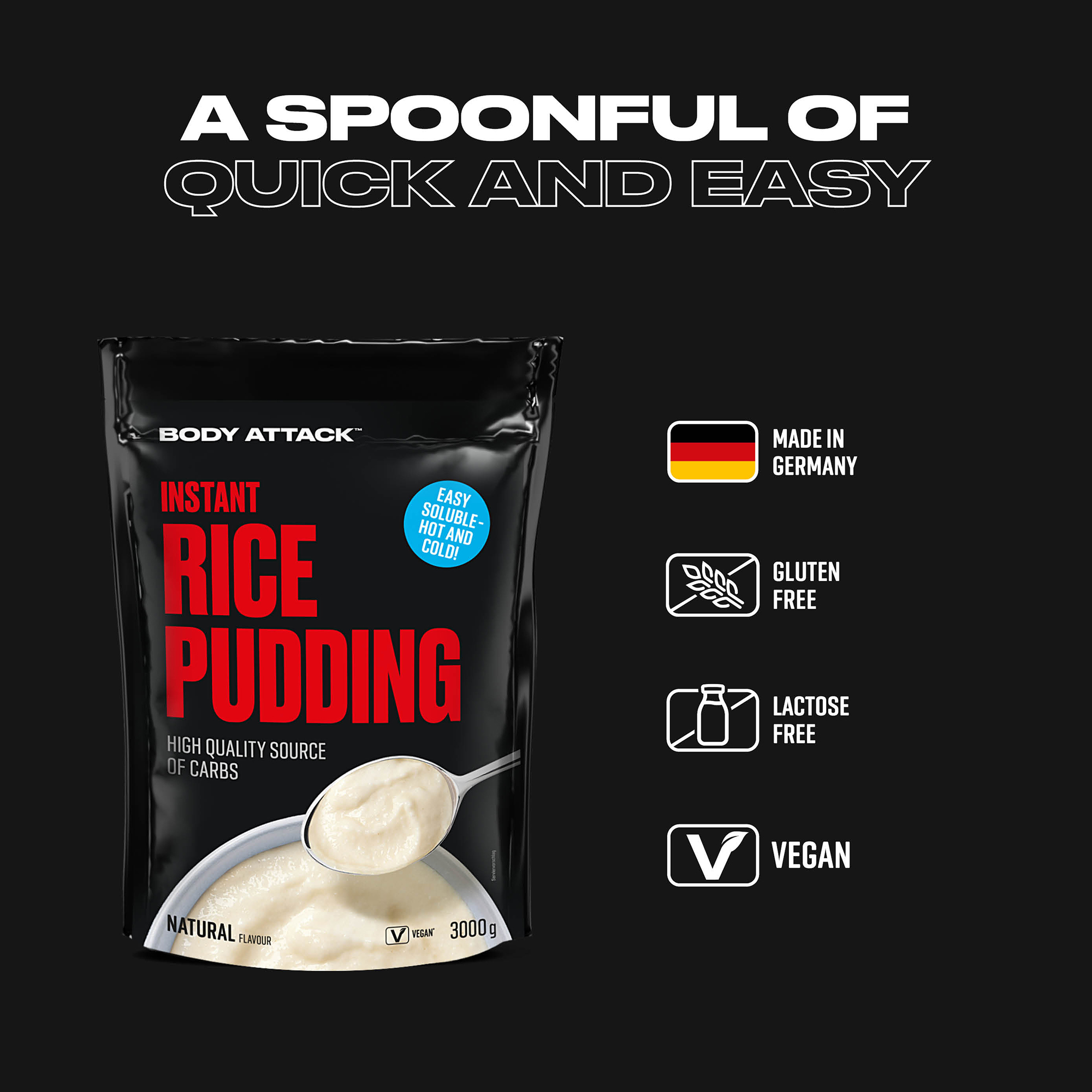 Instant Rice Pudding